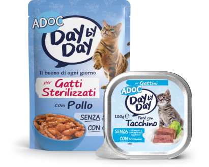 Day by day
