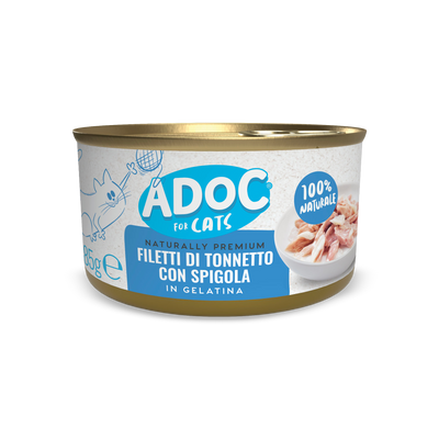 Filetti di Tonnetto con Spigola