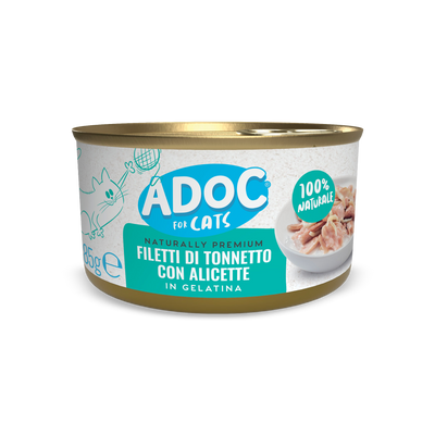 Filetti di Tonnetto con Alicette