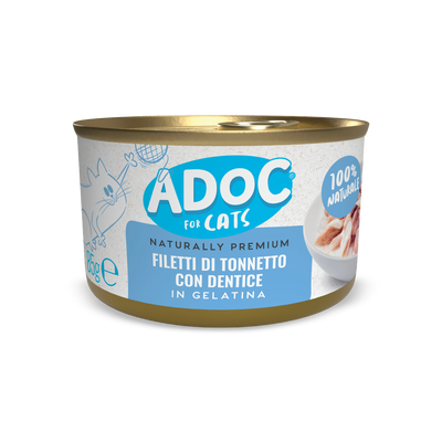 Filetti di Tonnetto con Dentice