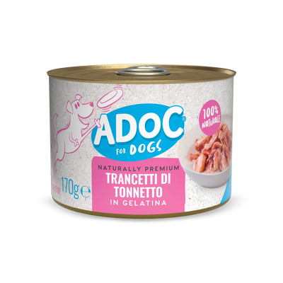 Filetti di Tonnetto