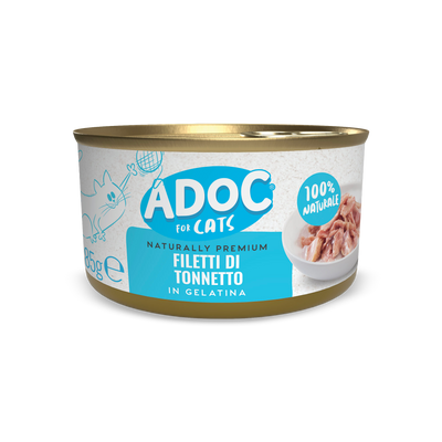 Filetti di Tonnetto